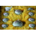 Chinese Teapot Set 9pcs T-010